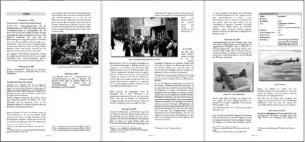 Leseprobe Funken im Moselschiefer